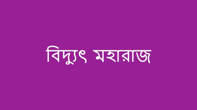 বিদ্যুৎ মহারাজ