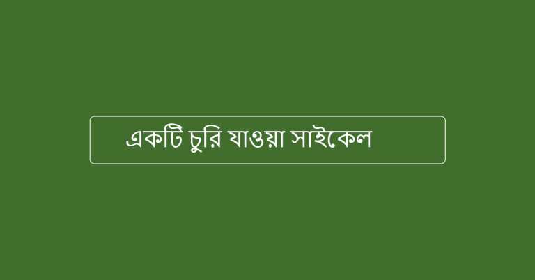 একটি চুরি যাওয়া সাইকেল